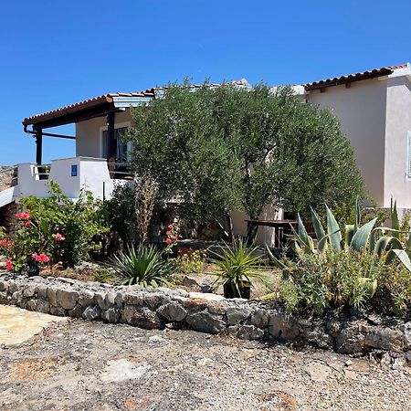 Holiday House Rusticana Sali, Dugi Otok Near Np Kornati Luaran gambar